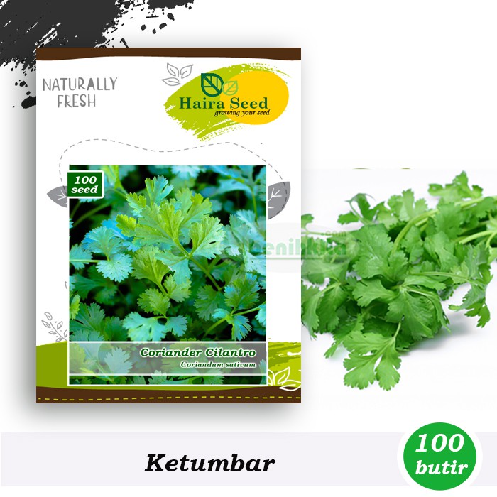 Benih-Bibit Cilantro/Ketumbar (Haira Seed)