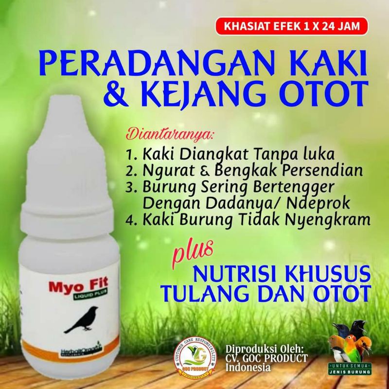 obat urat merah pada kaki kenari, kaki diangkat tidak ada luka myo vit