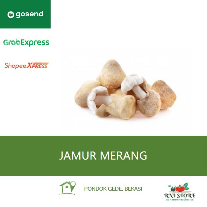 

Sayuran - Jamur Merang 250 gram