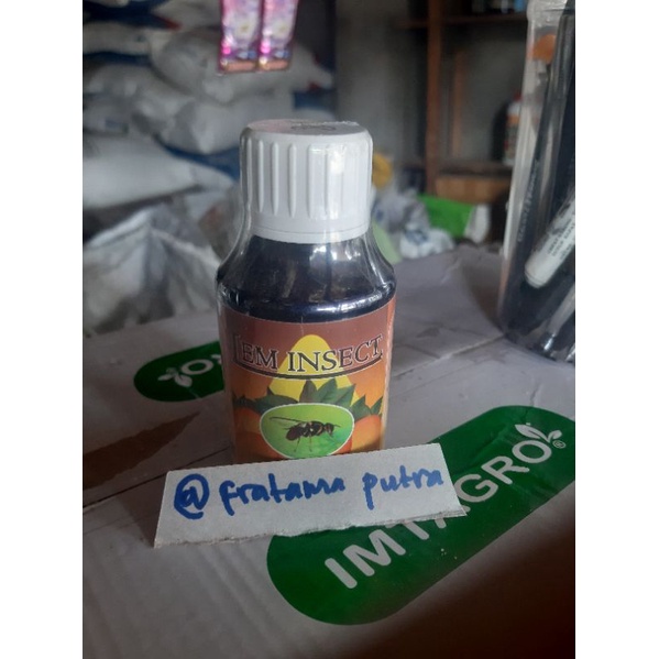 LEM INSECT LEM PERANGKAP LALAT BUAH DAN SERANGGA