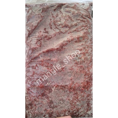 

CACING BEKU SUPER 200 GRAM