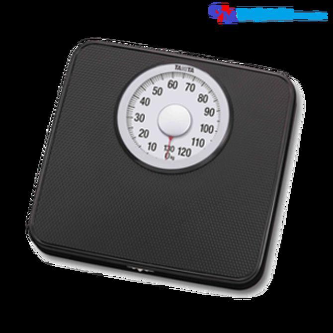 TIMBANGAN TANITA ANALOG (TANITA HA-650)