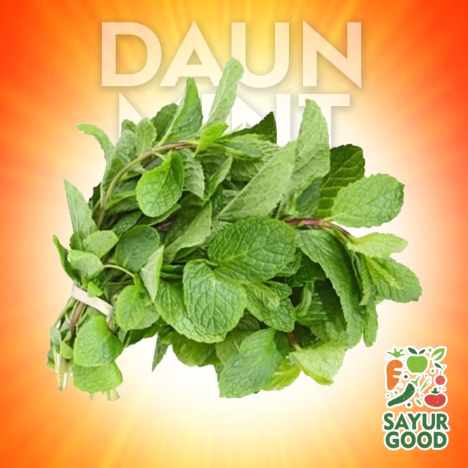 

Daun Mint Segar / Ikat