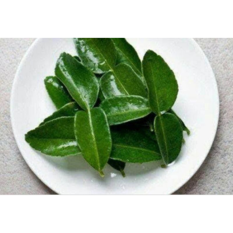 

daun jeruk