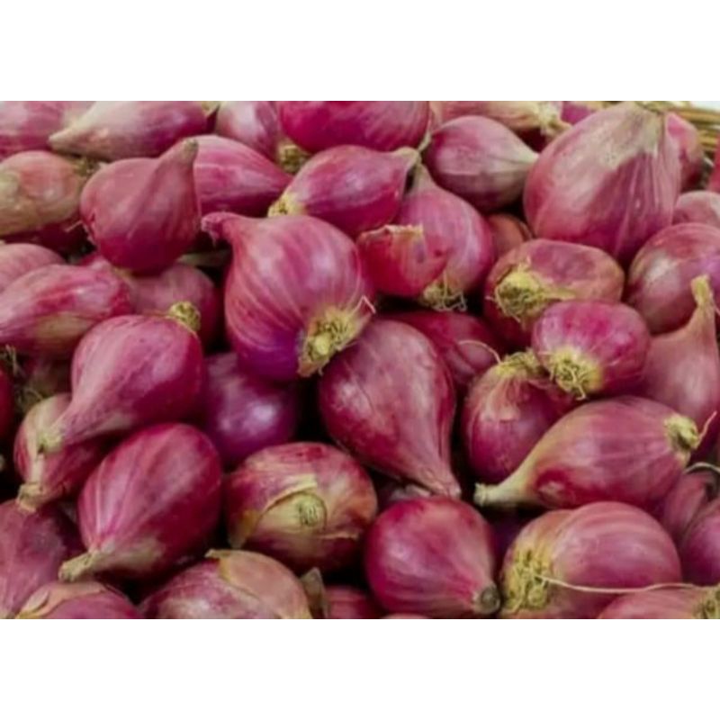 

Bawang merah 500 gram
