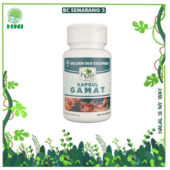 GAMAT, GAMAT KAPSUL HNI, GAMAT HPAI, SUPLEMEN, SUPLEMEN MAKANAN, KESEHATAN, OBAT, GAMAT EMAS