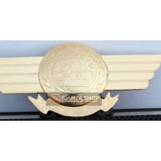 Wing DGCA 3S+1C