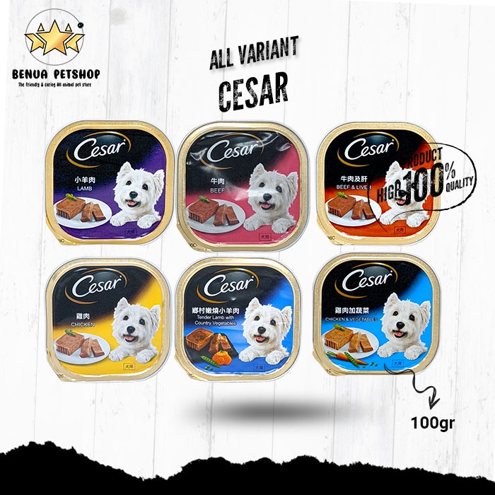 Makanan anjing / Dog food Murah Cesar 100gr all variant