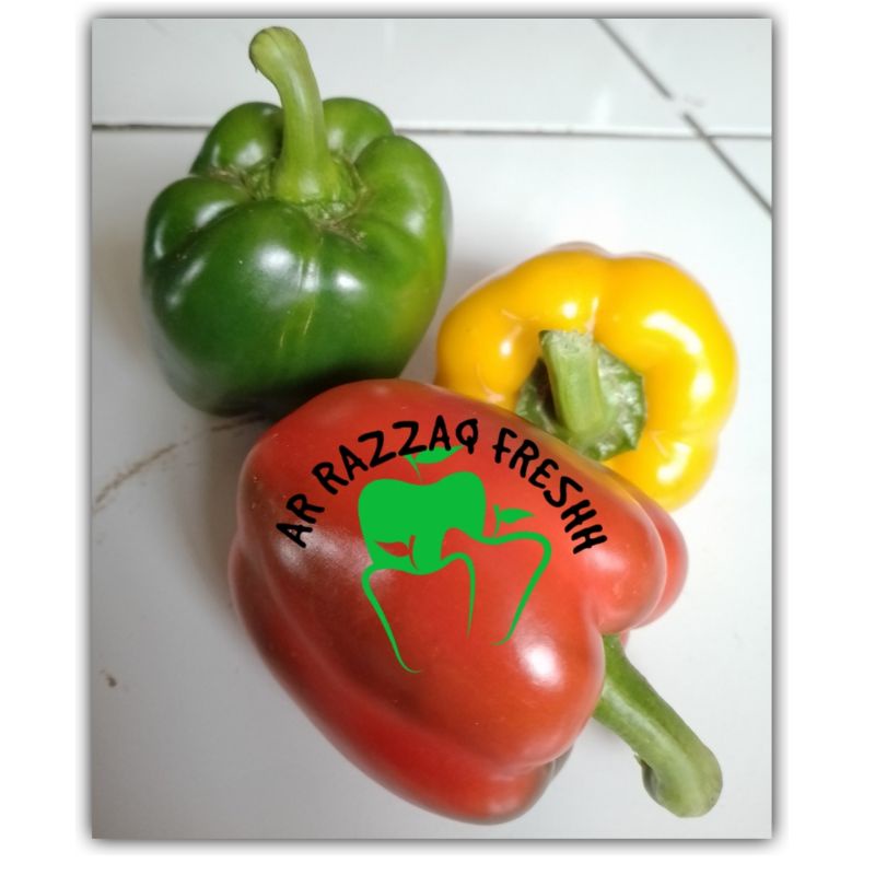 

paprika 3 pcs 3 warna fresh