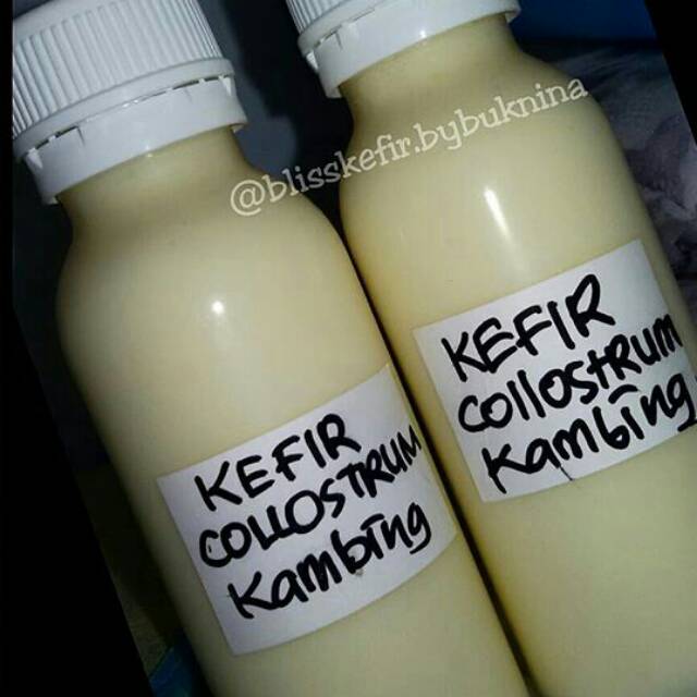 

KEFIR COLLOSTRUM KAMBING PERAHAN 1 130 ml