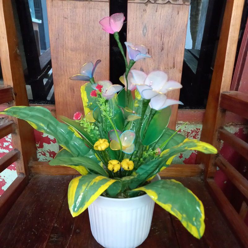 

Kamboja bunga stoking kerajinan tangan