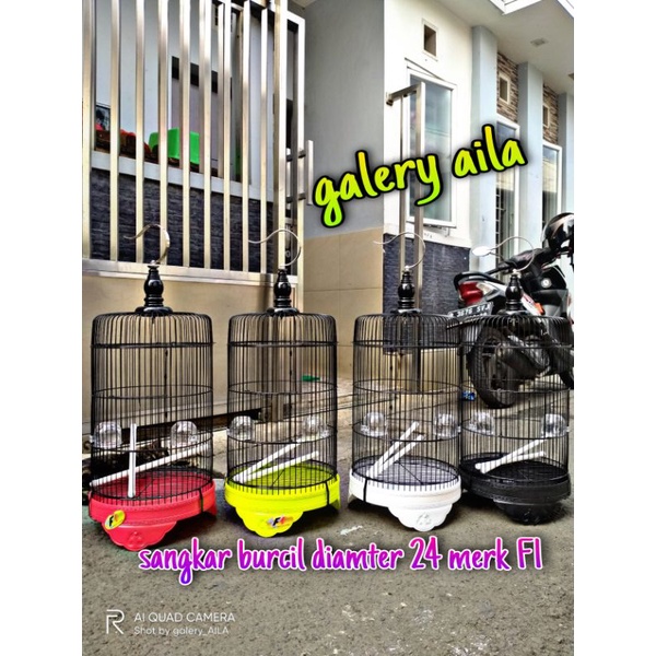 sangkar burung khusus untuk burung kecil/ sangkar burung murah/sangkar burcil