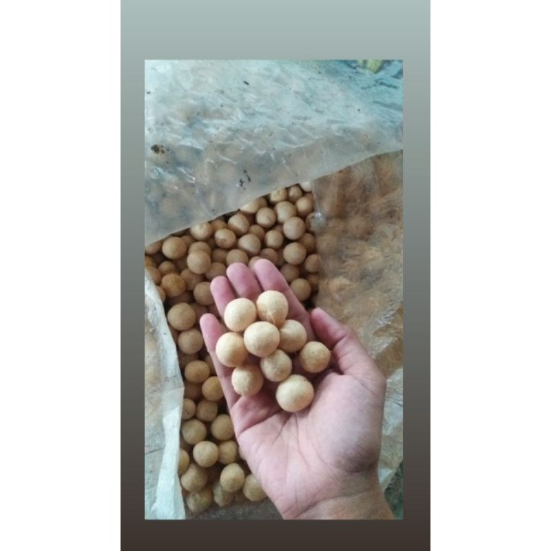 

Repack Tahu Bulat Kemasan 100 gr