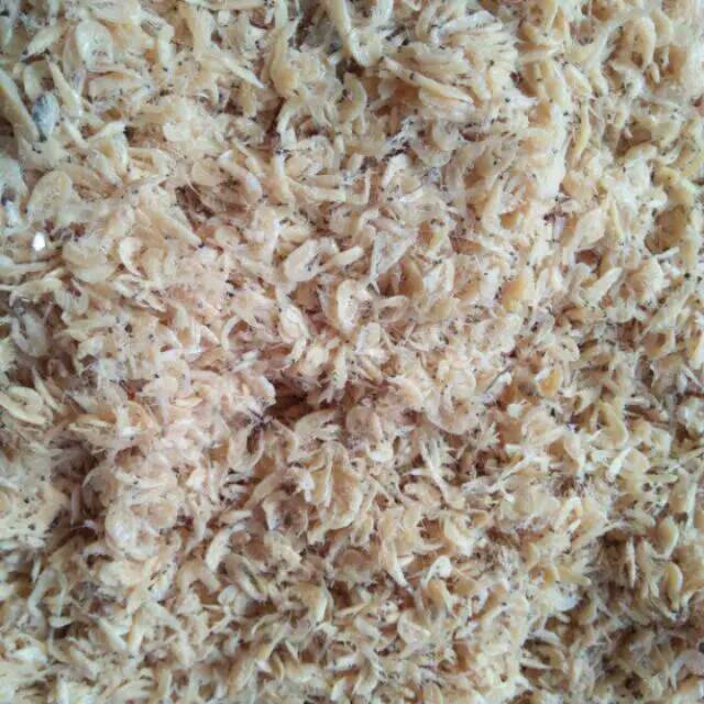 

Rebon 10kg khusus Jtr