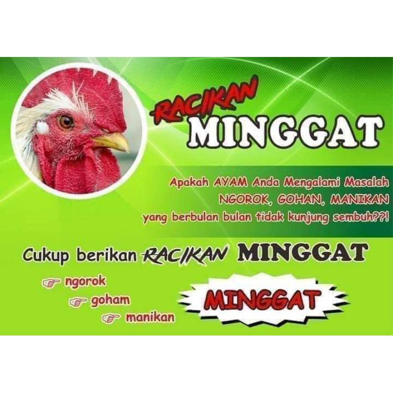 Ngorok Ayam