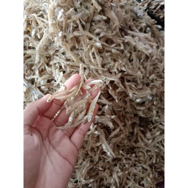 

Ikan Asin Teri Jengki
