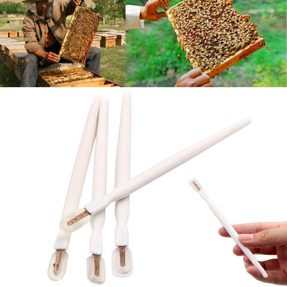 [Elegan] Bees Grafting Pen 6 Pcs Portabel Perlengkapan Peralatan Lebah Apiculture Scraper Pulp