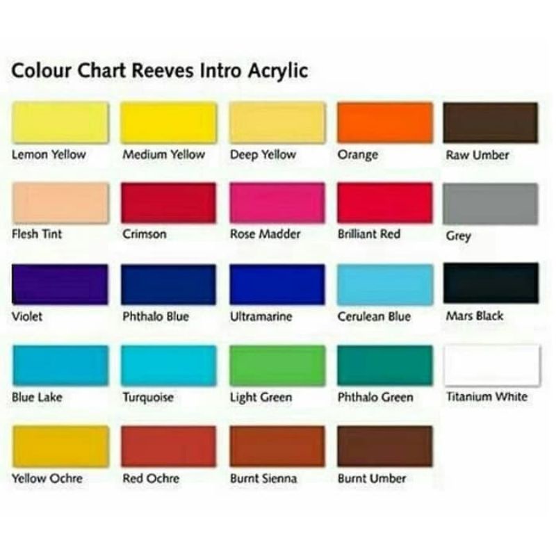 Reeves Intro Acrylic 100ml - Cat Acrylic 100ml