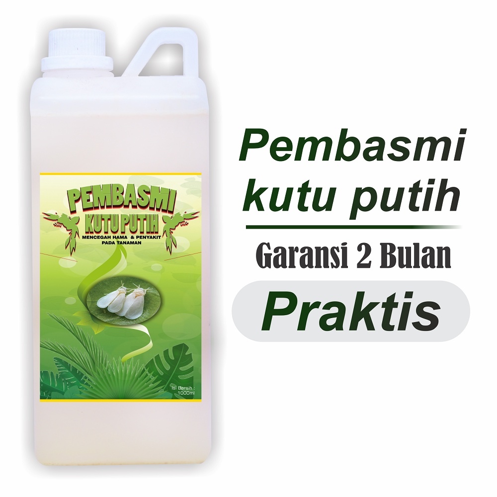 pembasmi kutu putih pada tanaman ampuh dan obat kutu putih