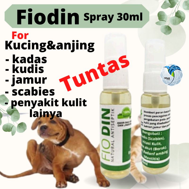 OBAT Jamur Scabies Kadas Kudis spray 30ml Kucing Ajing Kelinci Hamster