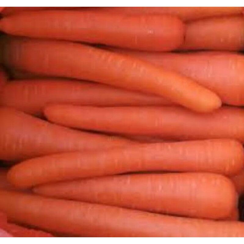 

Wortel Impor/500gr