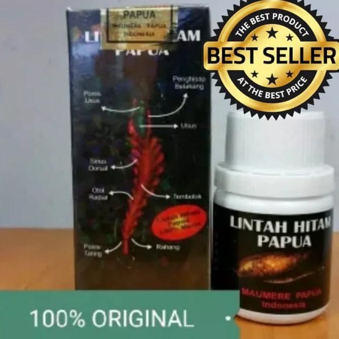 Minyak Lintah Hitam Papua Original Berhologram