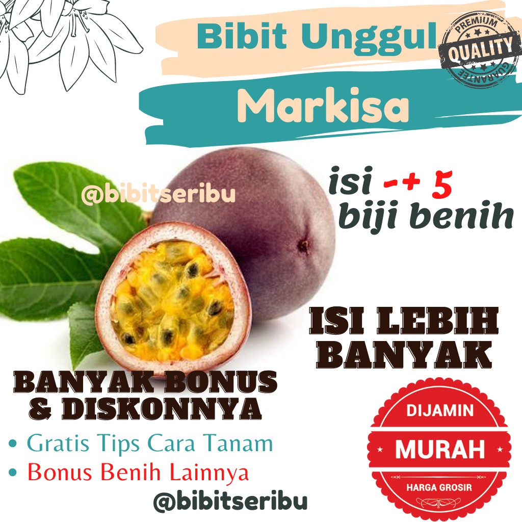 Bibit Markisa Benih Sayuran dan Buah Siap Tanam Lengkap Bisa untuk Hidroponik