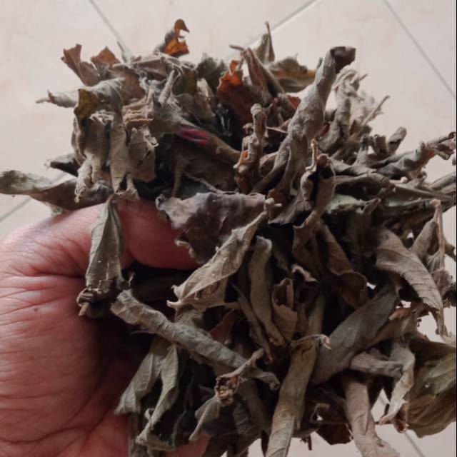 

Daun seri kering 100gram
