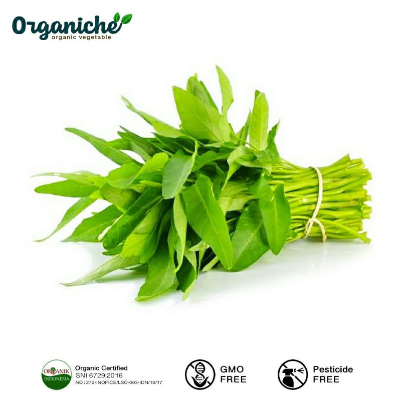 

Kangkung Organik Papapangan 200 gram
