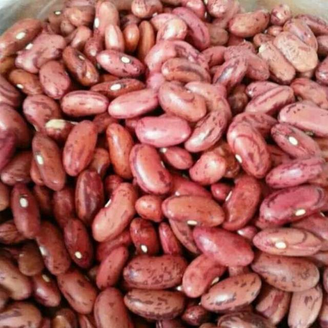 

Kacang merah organik