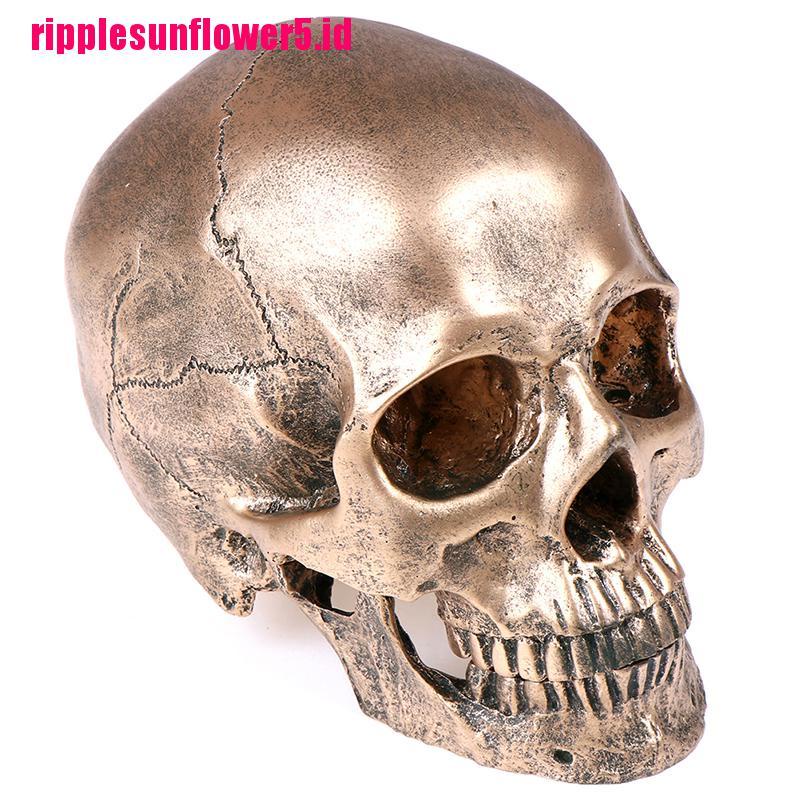 Model Kerangka Manusia Perunggu Bahan Resin Skala 1: 1 Untuk Halloween