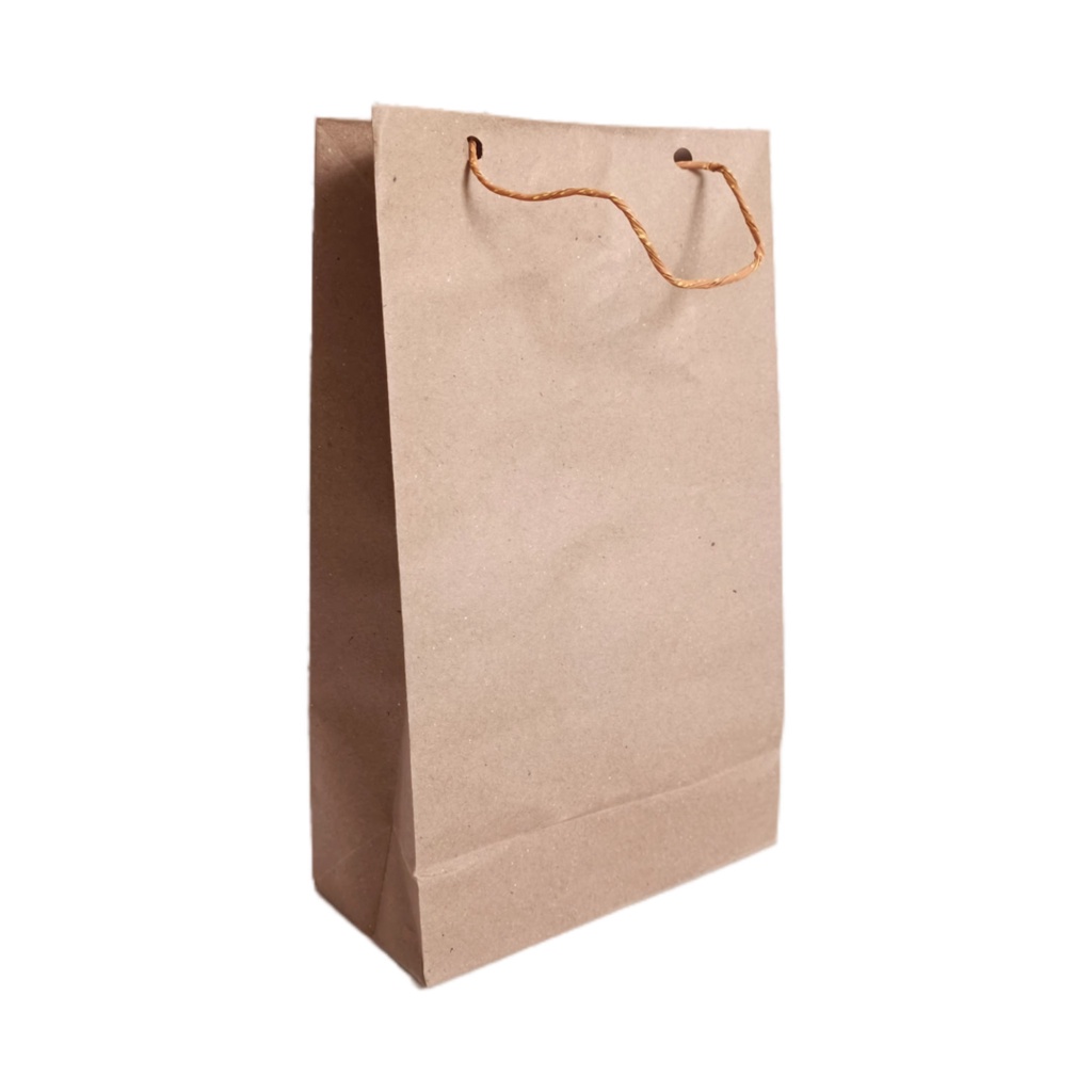 Paper Bag tas kertas Craft Uk 15x8x25 CM hatari [LUSINAN] GOODIE BAG paper bag polos coklat/paperbag murah