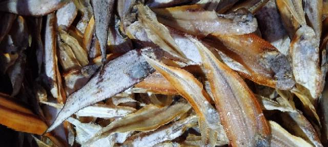 

Ikan Asin Lendra / ikan sebelah 1kg Khas Pangandaran