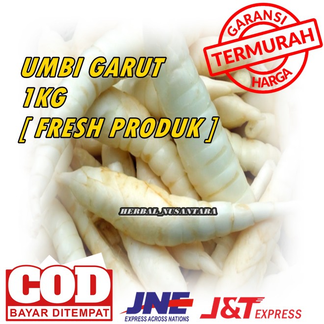 

[ Readystock ] 1Kg Ubi Garut Segar