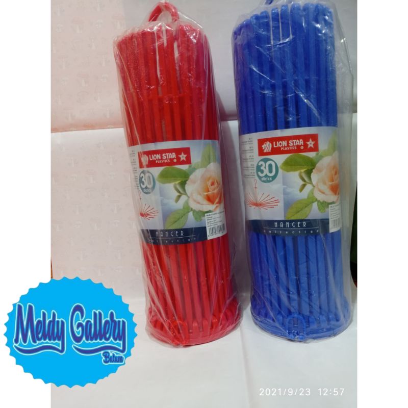 Hanger bulat lion star