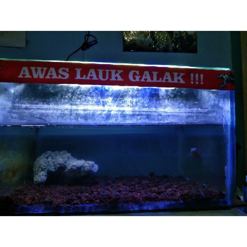 Sticker aquarium stiker akuarium lucu depan sudh laminasi anti luntur