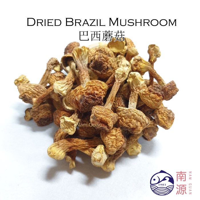 

Jamur Brazil kering Dried Agaricus Blazei 250g