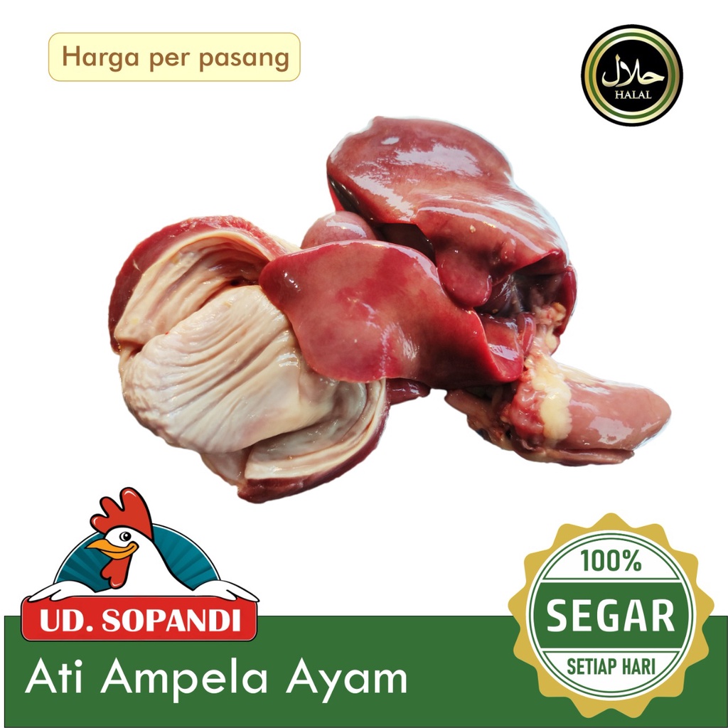 

Ati Ampela Ayam Segar