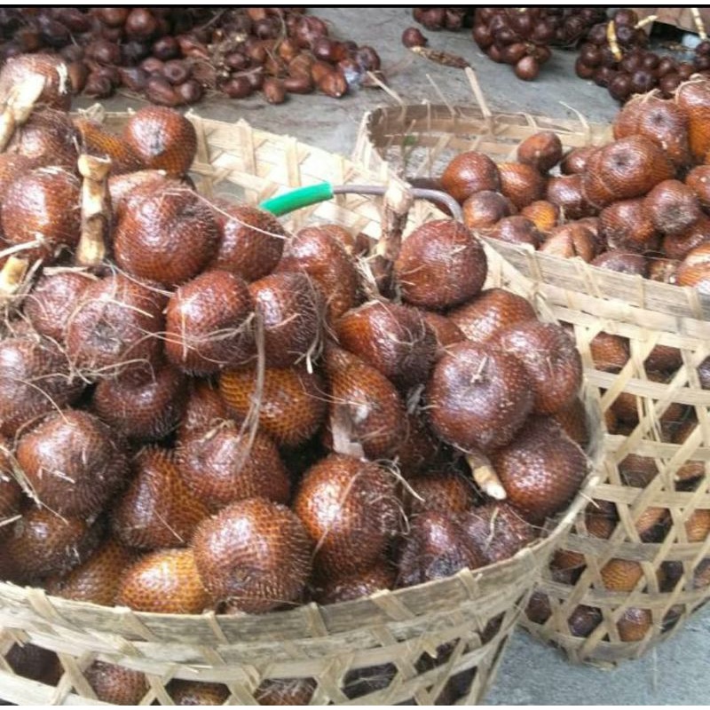 

Salak Pondoh