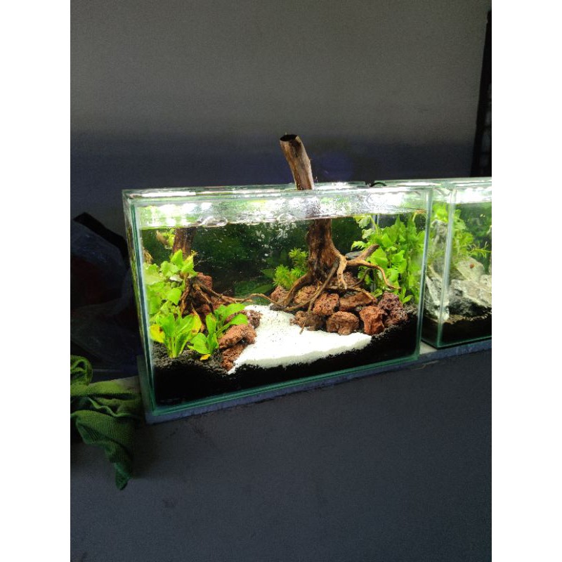SOLD  Aquarium Full Set Aquascape 40 Y