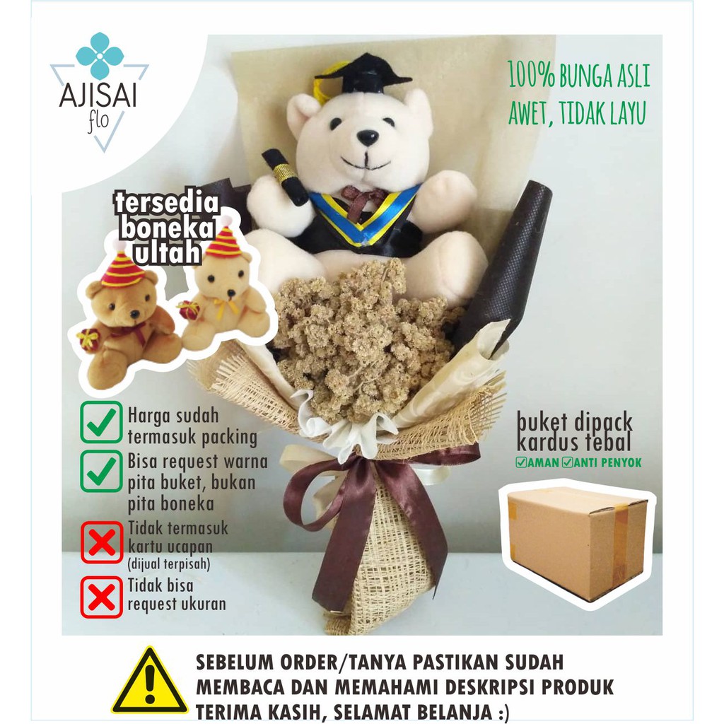 Buket Wisuda Bunga Edelweis Kering+ Boneka | Ajisai.flo