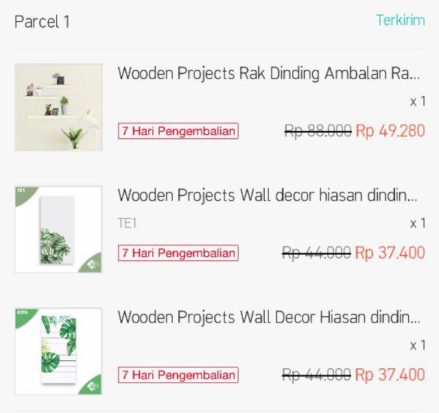 Wooden Projects Wall Decor Hiasan Dinding Tropical Bunga Sansevieria - Te