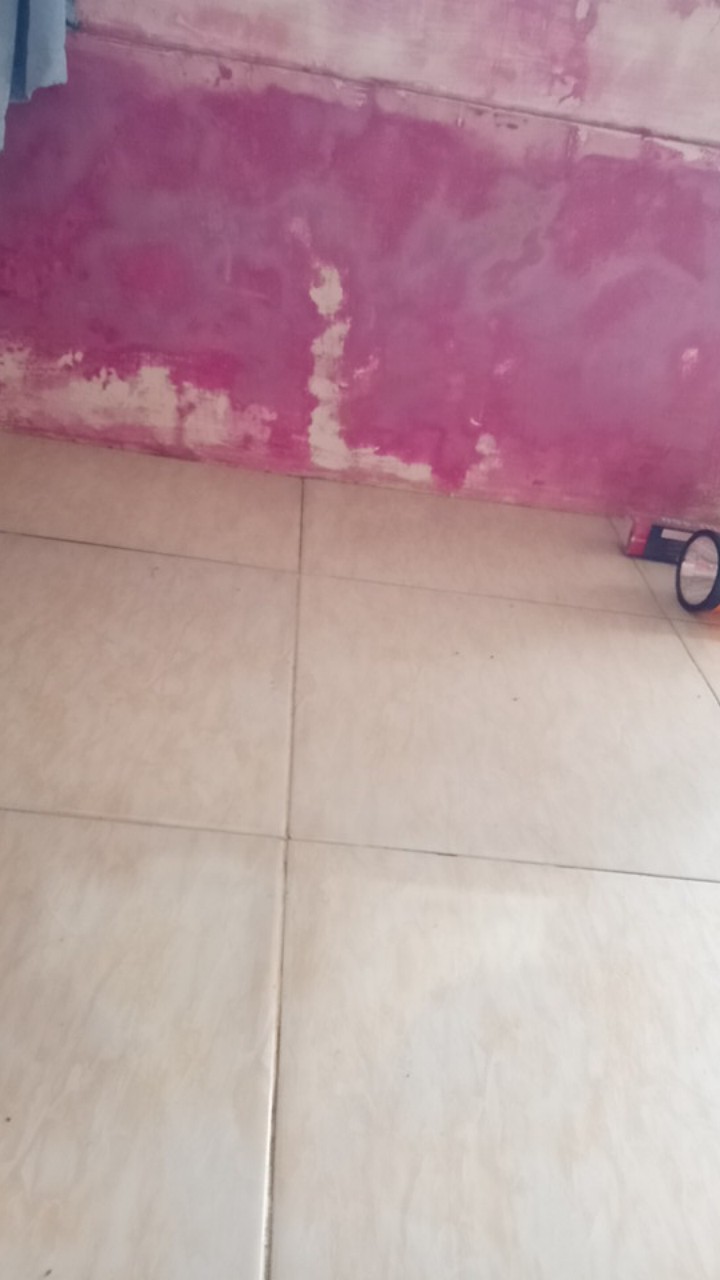 Waterglass Botolan 100 Ml