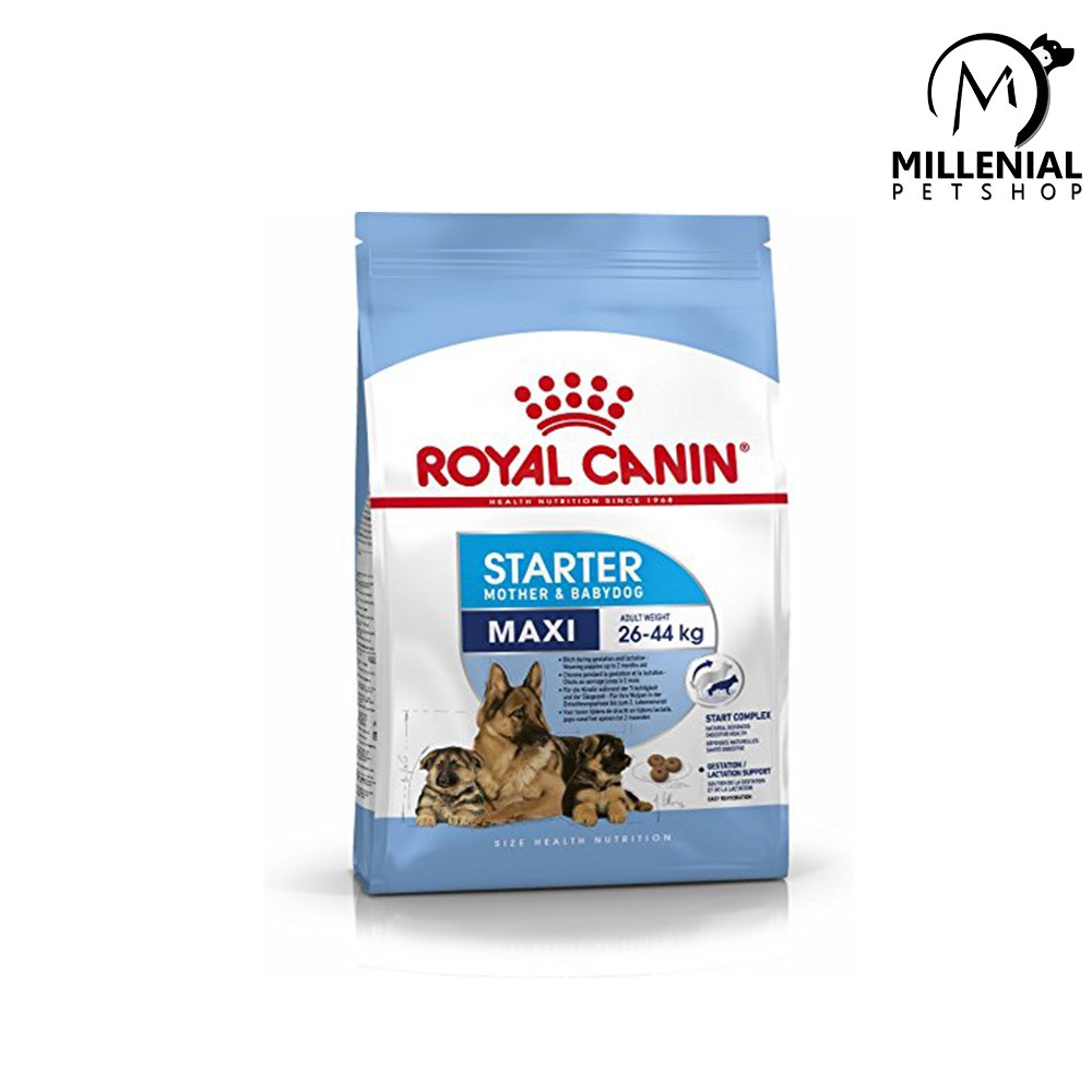 Makanan anjing Royal canin maxi starter 4kg 4 Kg