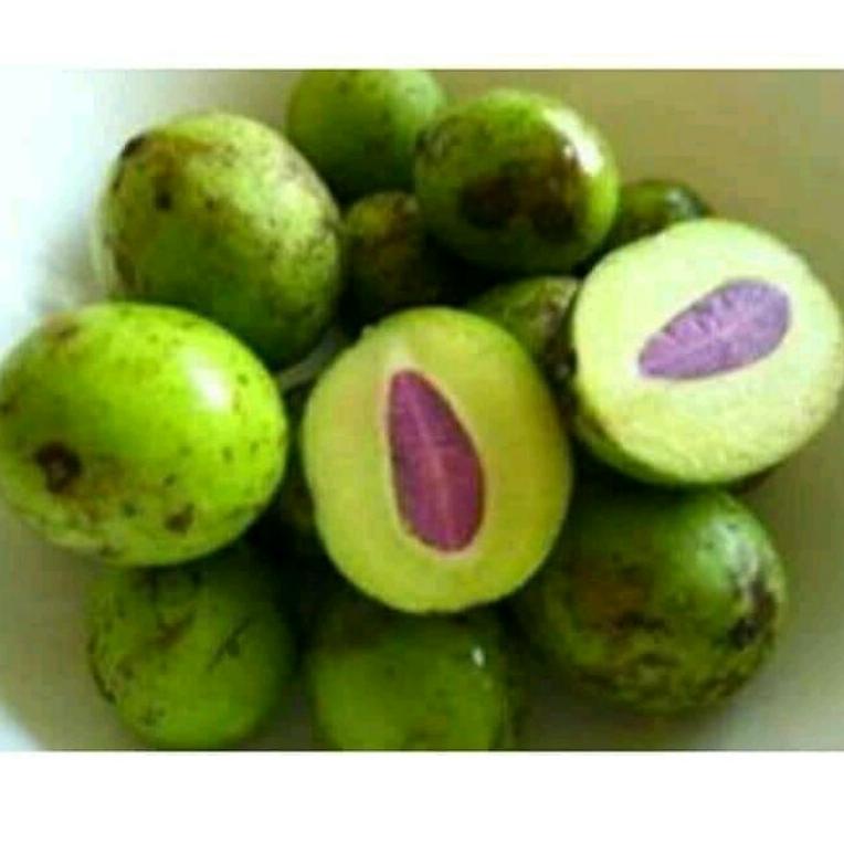 

[PRODUK HIH7M] BUAH GANDARIA 1 KG Petik pohon YJA
