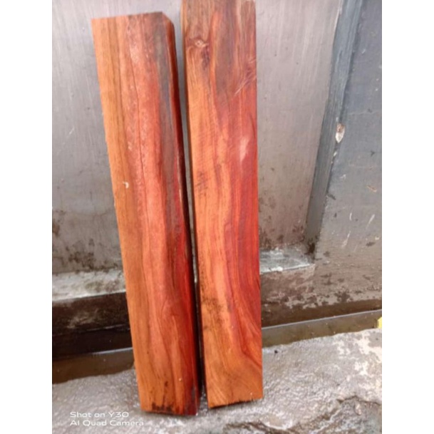 nogosari/nagasari model pa2n