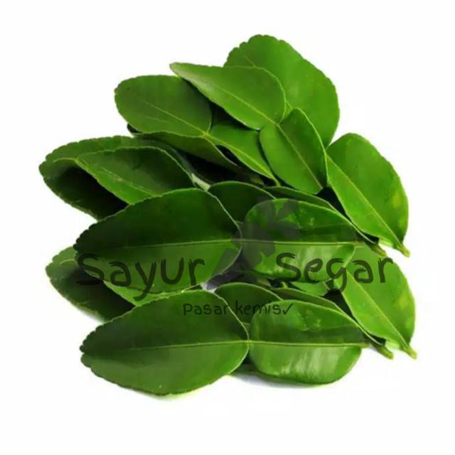 

Daun jeruk 20gr