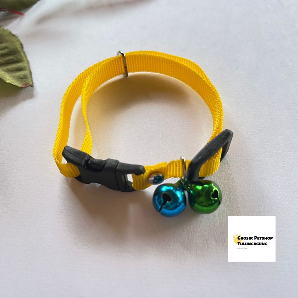 Kalung kucing 2 lonceng Polos 10ml bahan tebal