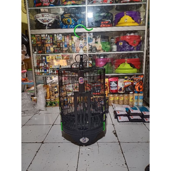 Sangkar anis ebod jaya