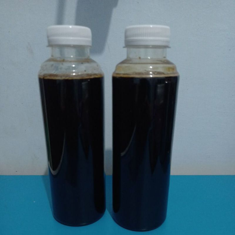 madu hutan asli siak